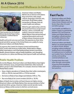 cover of Good Health and Wellness in Indian Country At A Glance 2016