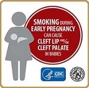 Smoking during early pregnancy can cause cleft lip and/or cleft palate in babies.
