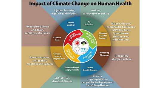 Health Effect wheel graphic