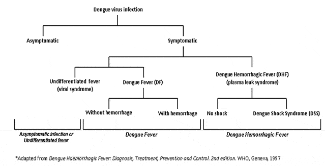 Dengue flow chart