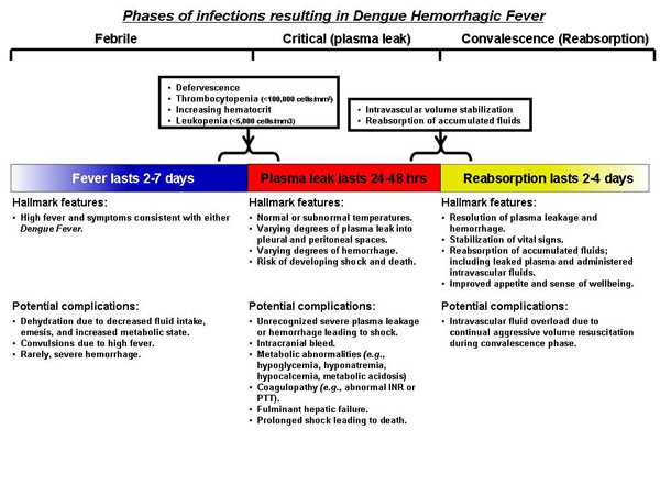 Phases of infections resulting in dengue hemorrhagic fever