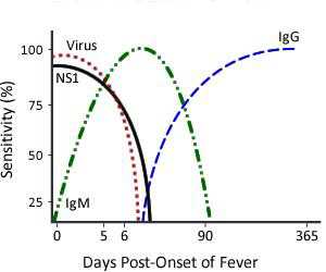 Primary DENV Infection chart