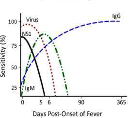 Secondary DENV Infection chart