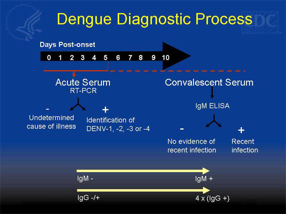 Dengue Diagnostic Process