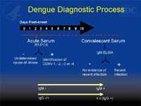 Dengue Diagnostic Process