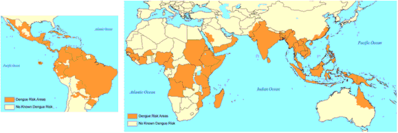 Global Map of Dengue Fever