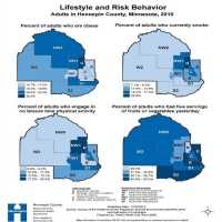 Lifestyle and risk behavior, adults in Hennepin County, Minnesota, 2010