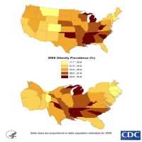 Obesity Prevalence 2006
