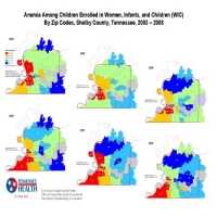 Anemia among Children on Women, Infants, and Children (WIC) by Zip Codes,Shelby County, Tennessee, 2003-2008