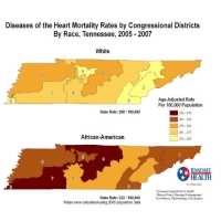 Diseases of the Heart Mortality Rate by U.S. Congressional District, Tennessee 2005-2007