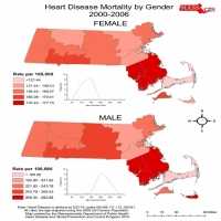 Heart Disease Mortality by Gender