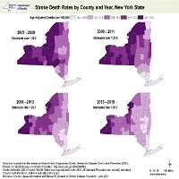 Stroke Death Rates by County and Year, New York State