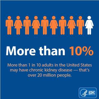 More than 10%. More than 1 in 10 adults in the United States may have chronic kidney disease - that's over 20 million people."  More than 10%. More than 1 in 10 adults in the United States may have chronic kidney disease - that's over 20 million people.