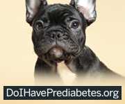 Puppy. Do I have diabetes . org