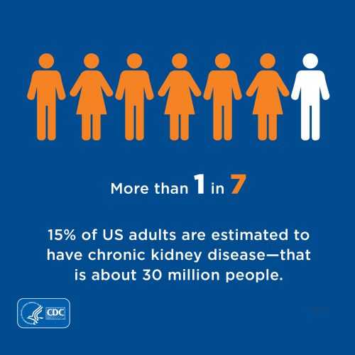 More than 1 in 7, 15 percent of us adults as estimated to have chronic kidney disease - that is about 30 million people