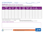 Catheter Connection and Disconnection Audit Tool