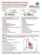 Hemodialysis Vascular Access Options Flyer