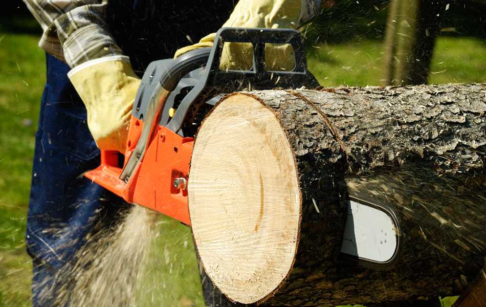 person cutting a log with a chainsaw