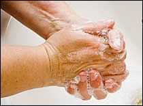 Soap Lather on Hands