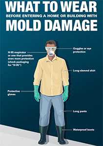 What to Wear before entering a Home or Building with Mold Damage