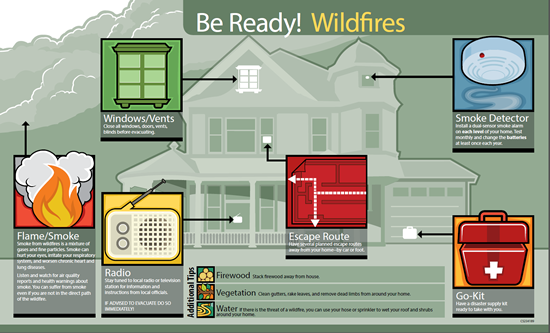 Image of Wildfires Infographic