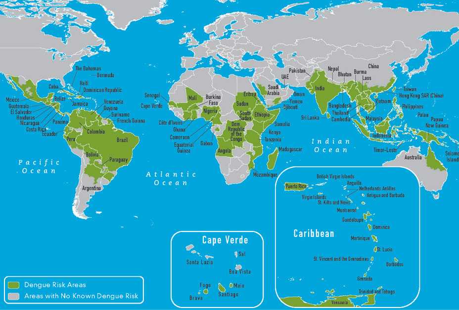 World map of dengue locations