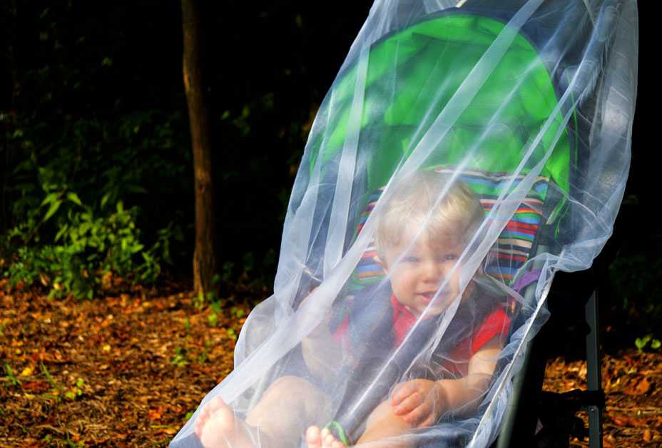 Baby and stroller covered by mosquito netting