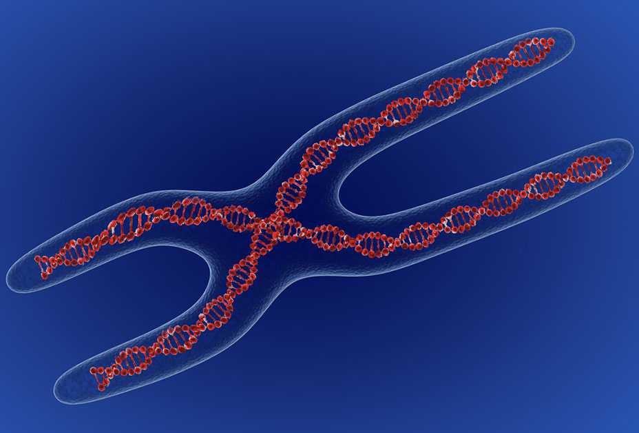 DNA illustration of Fragile X syndrome