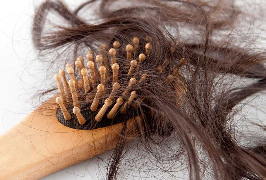 Brush filled with hair