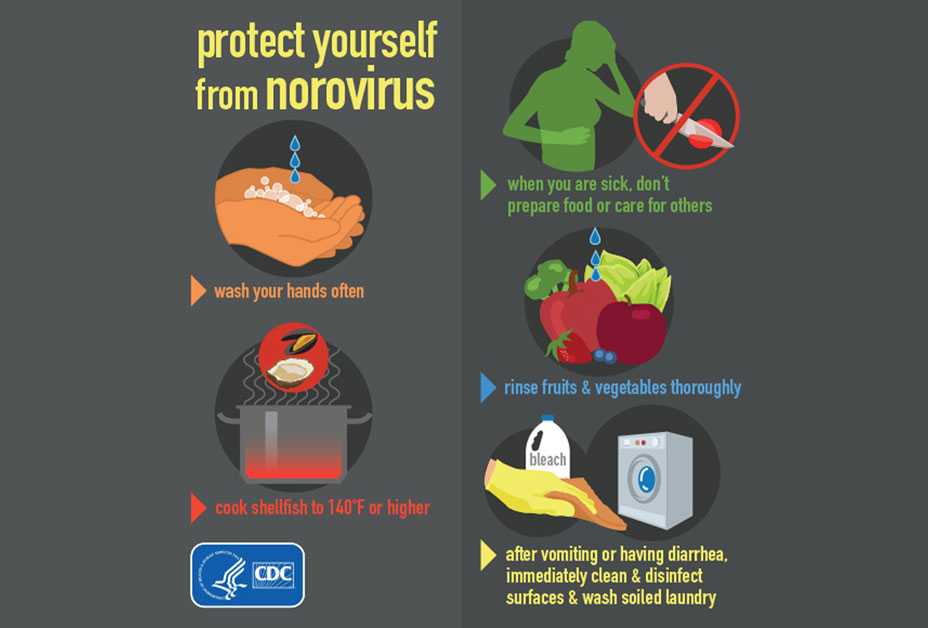 Infographic on how to protect yourself for norovirus