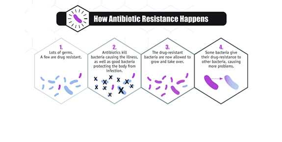 How Antibiotic Resistence Happens