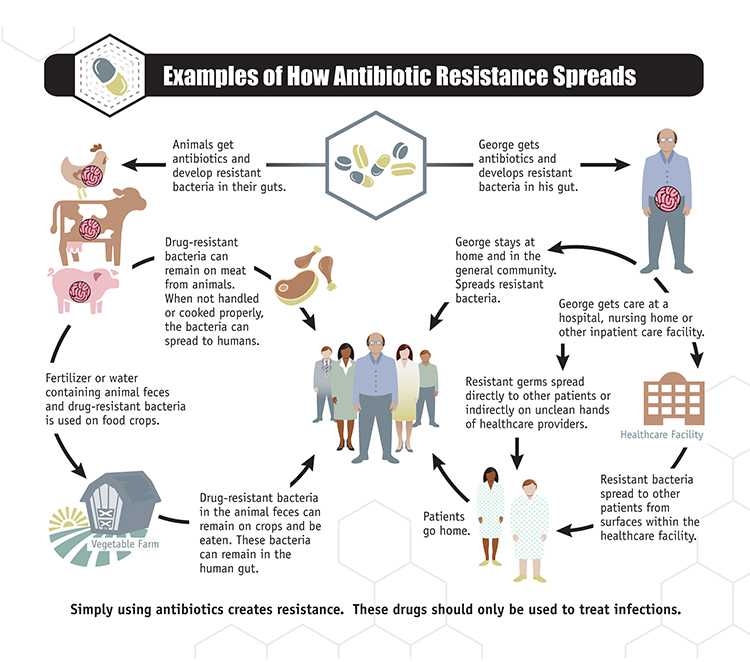 Examples of how Antimicrobial Resistance Spread image