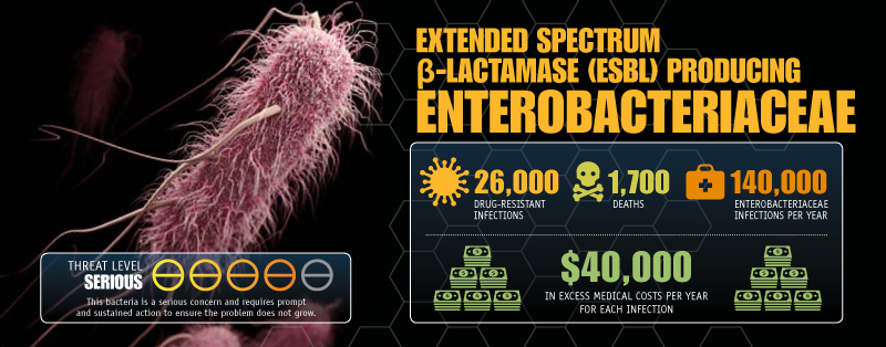 Extended Spectrum Enterobacteriaceae image