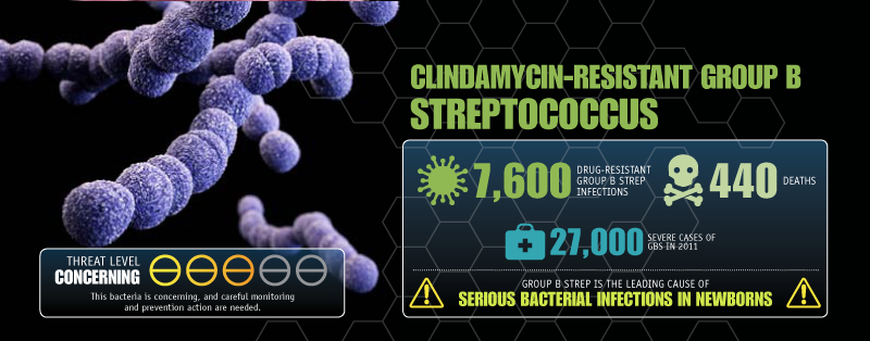 Clindamycin-Resistant Group B Streptococcus image