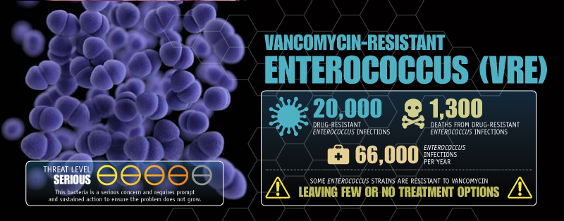 Vancomycin-resistant Enterococcus image