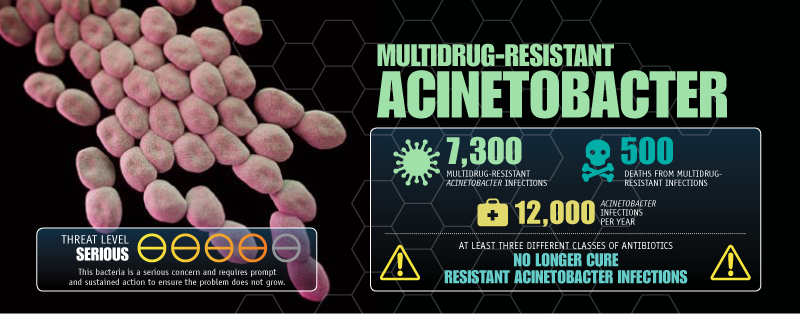 Multidrug-Resistant Acinetobacter