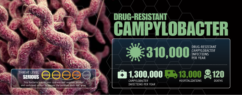 Drug-Resistant Campylobacter image