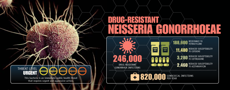Drug-Resistant Neisseria Gonorrhoeae