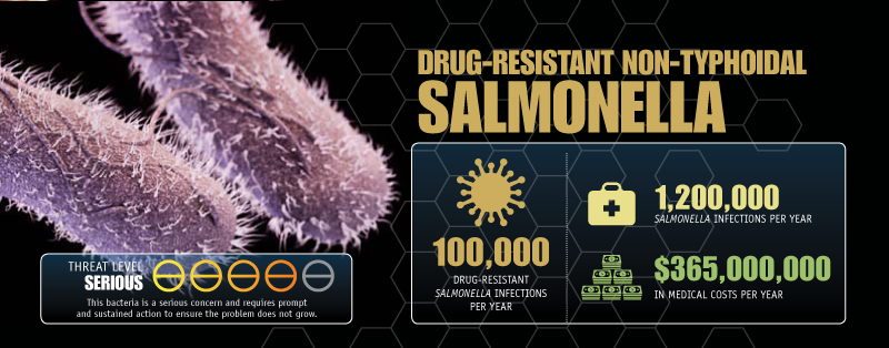 Drug-Resistant Salmonella image