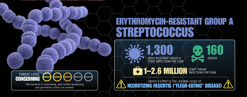 Erythromycin-Resistant Group A Streptococcus image