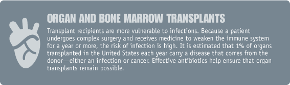 organ and bone marrow transplants image