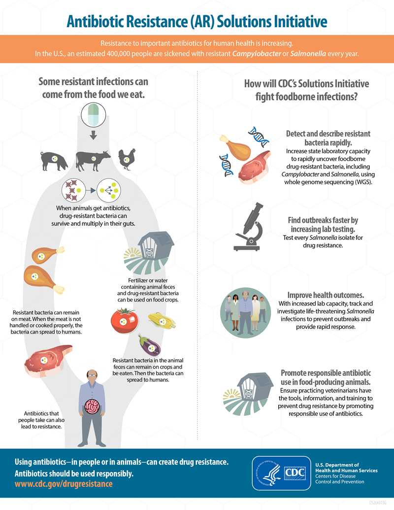 Drug-Resistant Foodborne Antibiotics - Infographic