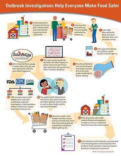 Outbreak investigations help everyone make food safer infographic