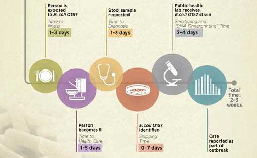 timeline for reporting E.coli O157 of cases