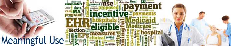 CDC Meaningful Use Banner