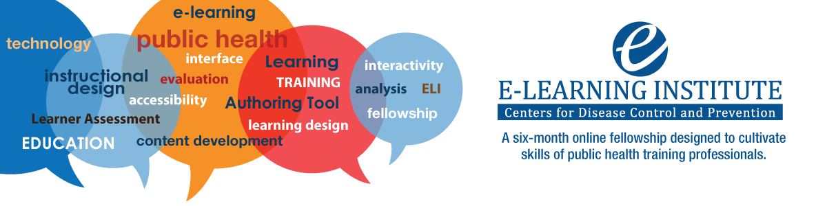 E-learning Institute Fellowship