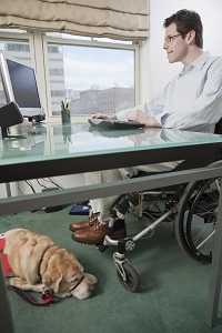Man in wheelchair with a dog