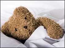 Photo of teddy bear in blanket.