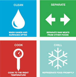 GRAPHIC: Food safety steps: clean, separate, cook, and chill.