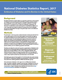 Cover of National Diabetes Statistics Report